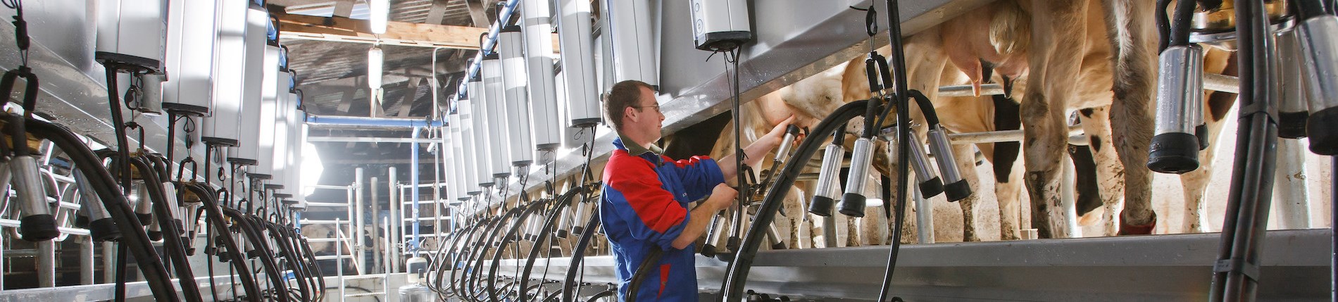 Доильный зал DeLaval P2100