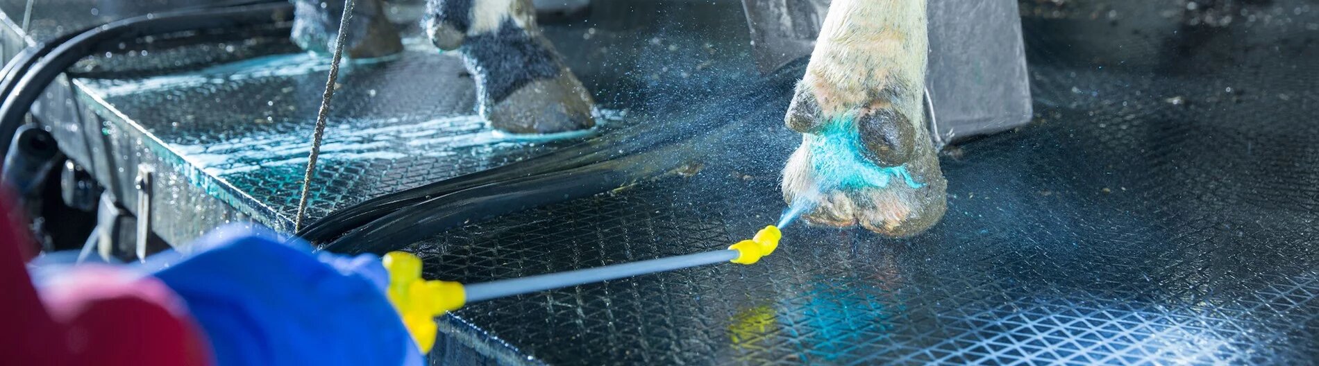 Автоматическая ванна для обработки копыт DeLaval AFB1000